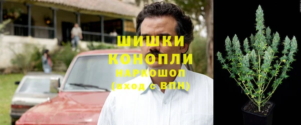 спайс Алзамай
