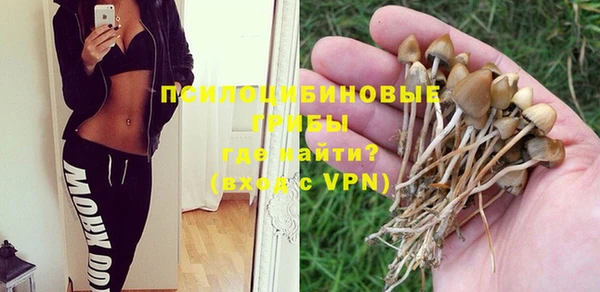 спайс Алзамай