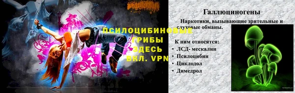 не бодяженный Алексин